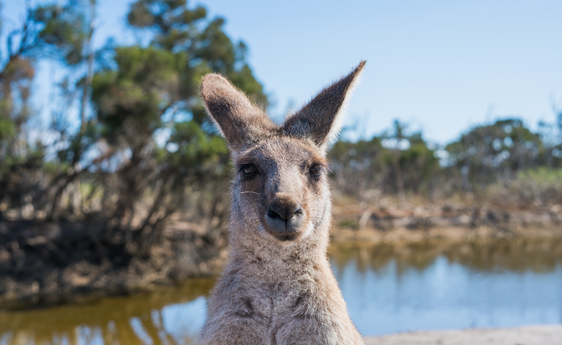 Travel the Australia Outback